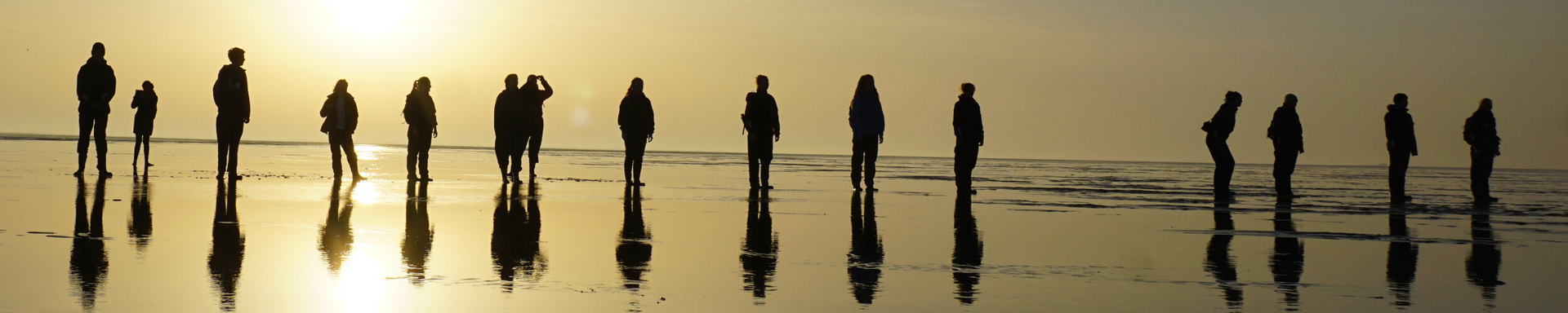 Header1